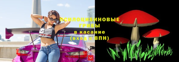 мет Кукмор